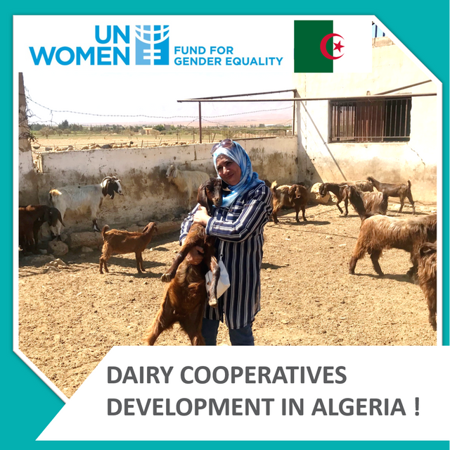 UNWOMEN ALGERIA - Crossborder full system support for coops